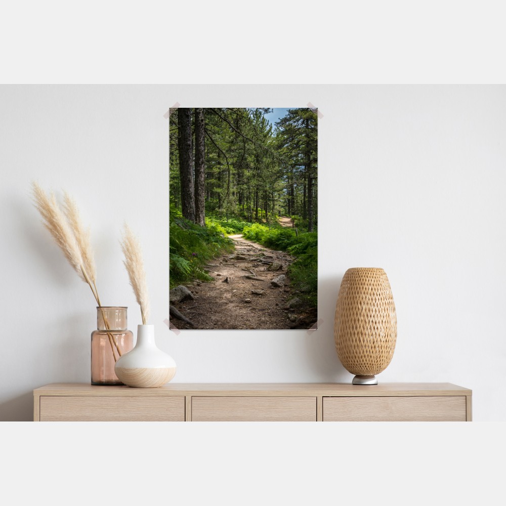 Poster ruhiger waldpfad durch üppiges grün – Wallnifity® Poster ruhiger waldpfad durch üppiges grün – Wallnifity®