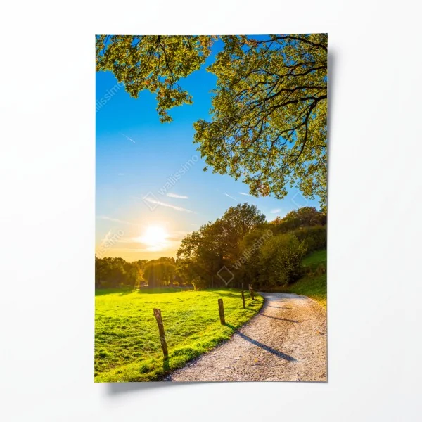 Poster boho aquarell-panda mit federn – Wallnifity®