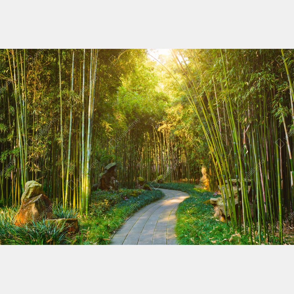 Poster ruhiger bambuswald mit pfad – Wallnifity® Poster ruhiger bambuswald mit pfad – Wallnifity®