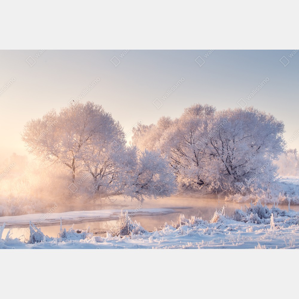 Poster raureifbedeckte bäume bei sonnenaufgang – Wallnifity® Poster raureifbedeckte bäume bei sonnenaufgang – Wallnifity®