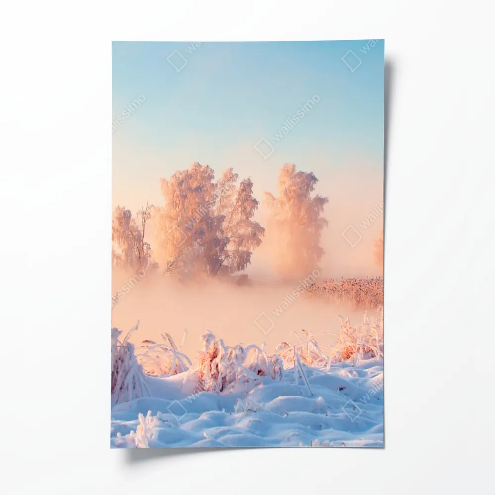 Poster winterlicher sonnenaufgang über einer frostigen wiese – Wallnifity®