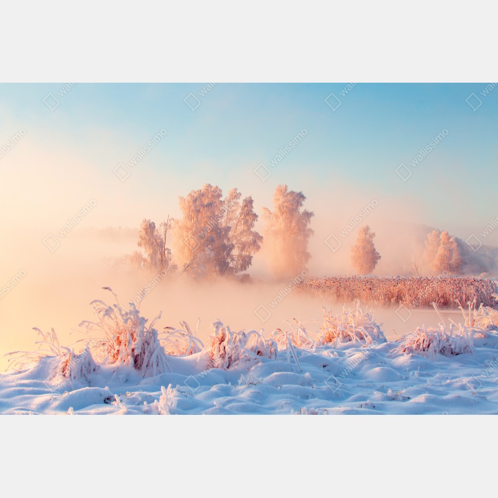 Poster winterlicher sonnenaufgang über einer frostigen wiese – Wallnifity®