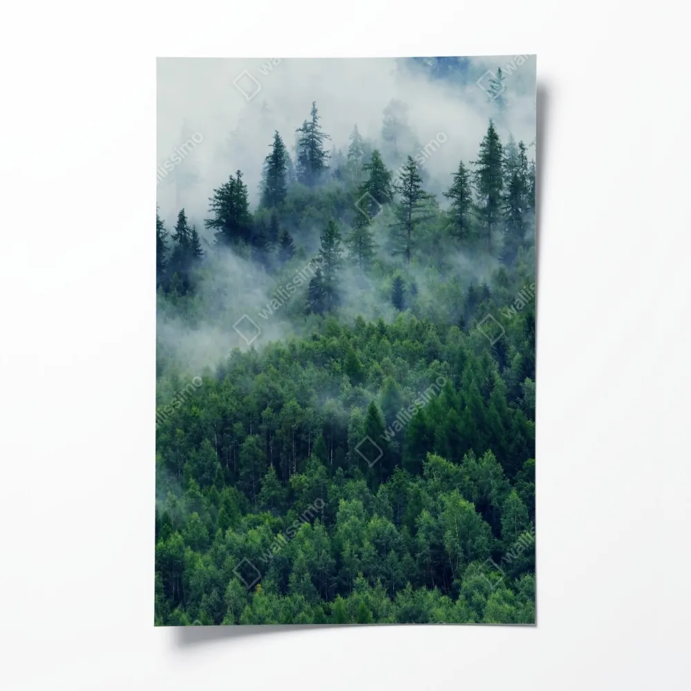 Poster nebliger grüner wald – Wallnifity®