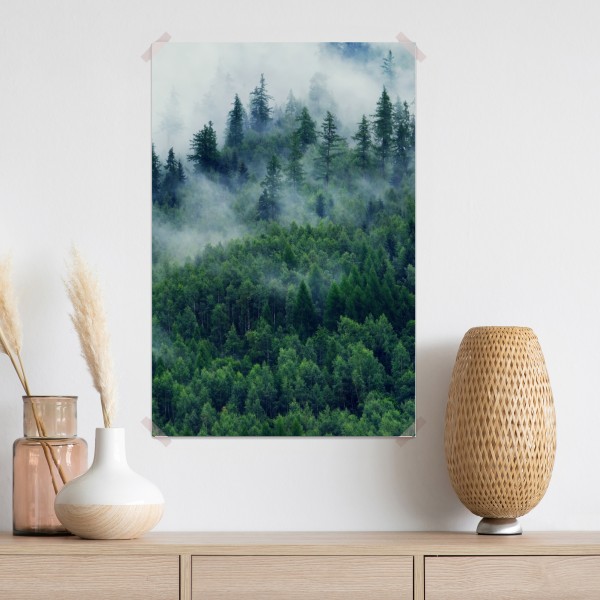 Poster nebliger grüner wald – Wallnifity®