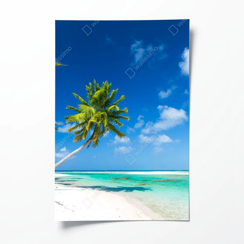 Poster tropischer strand mit palmen und türkisfarbenem wasser – Wallnifity® Poster tropischer strand mit palmen und türkisfarbenem wasser – Wallnifity®