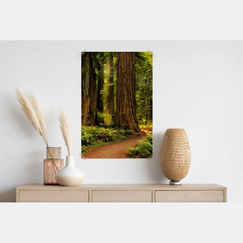 Poster Kalifornien mammutbäume waldweg – Wallnifity®