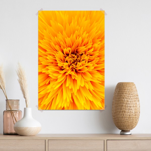 Poster strahlende sonnenblume nahaufnahme – Wallnifity® Poster strahlende sonnenblume nahaufnahme – Wallnifity®