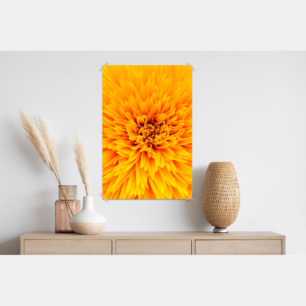 Poster strahlende sonnenblume nahaufnahme – Wallnifity® Poster strahlende sonnenblume nahaufnahme – Wallnifity®