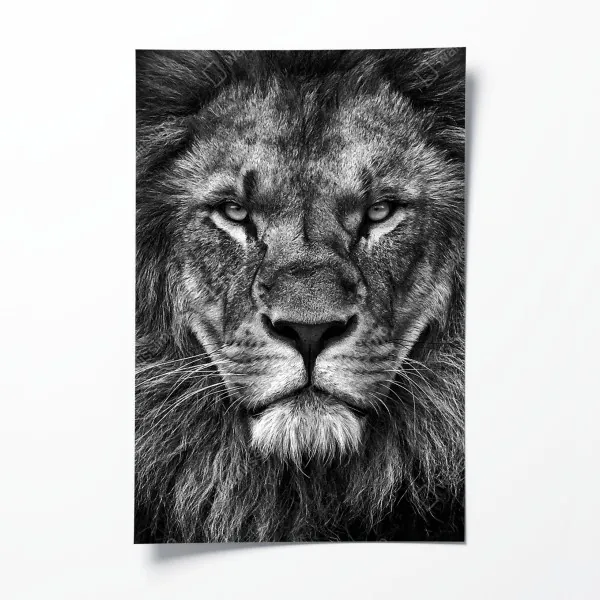 Poster Havanna skyline bei sonnenuntergang – Wallnifity®