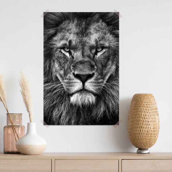 Poster majestätisches löwenportrait in monochrom – Wallnifity® Poster majestätisches löwenportrait in monochrom – Wallnifity®