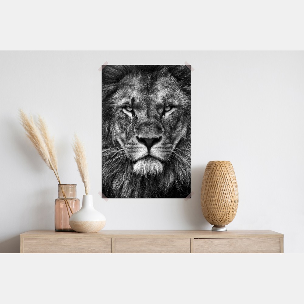 Poster majestätisches löwenportrait in monochrom – Wallnifity® Poster majestätisches löwenportrait in monochrom – Wallnifity®