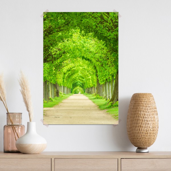 Poster grüner baumtunnel – Wallnifity® Poster grüner baumtunnel – Wallnifity®
