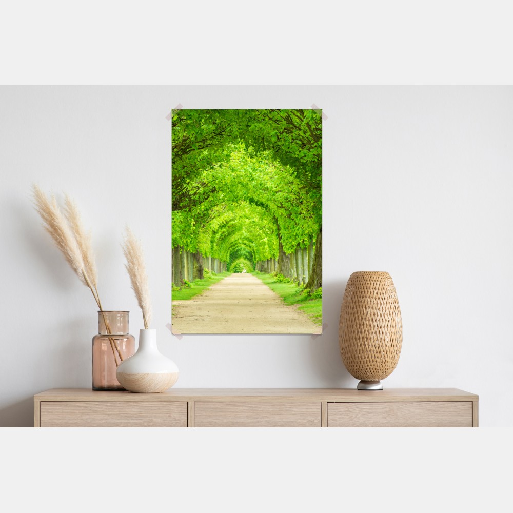 Poster grüner baumtunnel – Wallnifity® Poster grüner baumtunnel – Wallnifity®