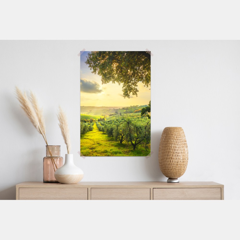 Poster olivenhain bei sonnenuntergang in Maremma, Toskana – Wallnifity®