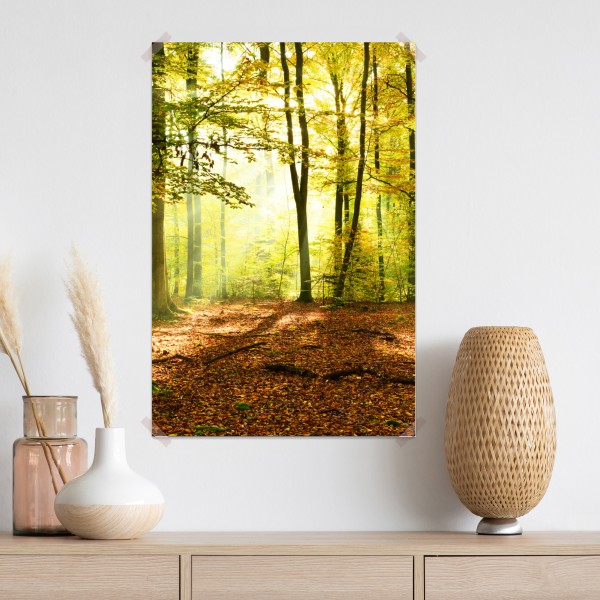 Poster goldener herbstwald am morgen – Wallnifity® Poster goldener herbstwald am morgen – Wallnifity®