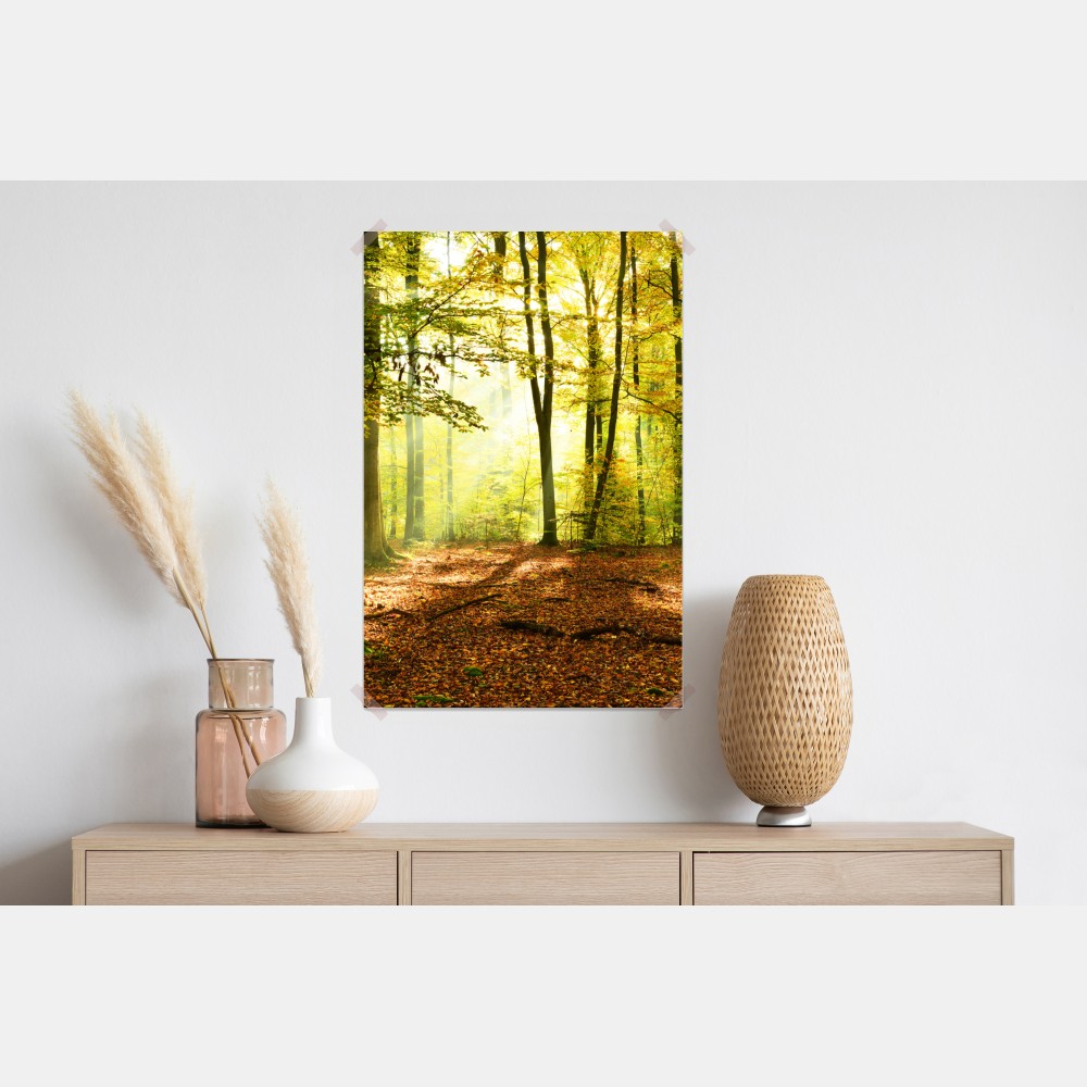 Poster goldener herbstwald am morgen – Wallnifity® Poster goldener herbstwald am morgen – Wallnifity®