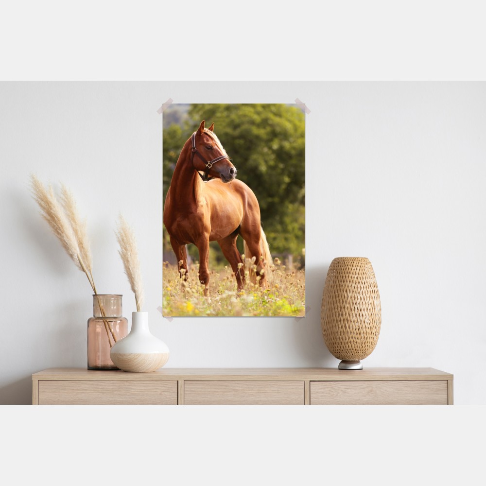 Poster majestätisches kastanienbraunes pferd auf sommerlicher wiese – Wallnifity® Poster majestätisches kastanienbraunes pferd auf sommerlicher wiese – Wallnifity®