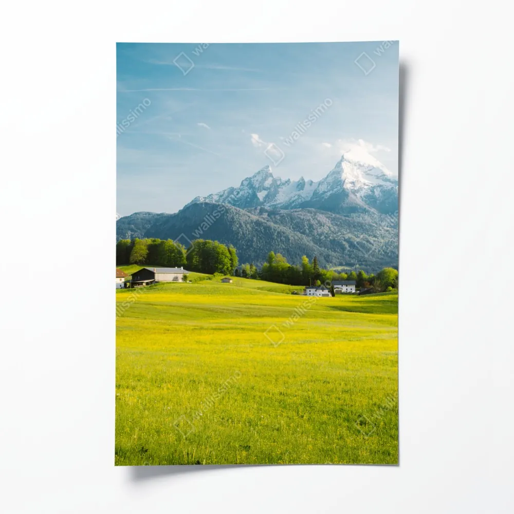 Poster alpwiese unter schneebedeckten gipfeln – Wallnifity® Poster alpwiese unter schneebedeckten gipfeln – Wallnifity®