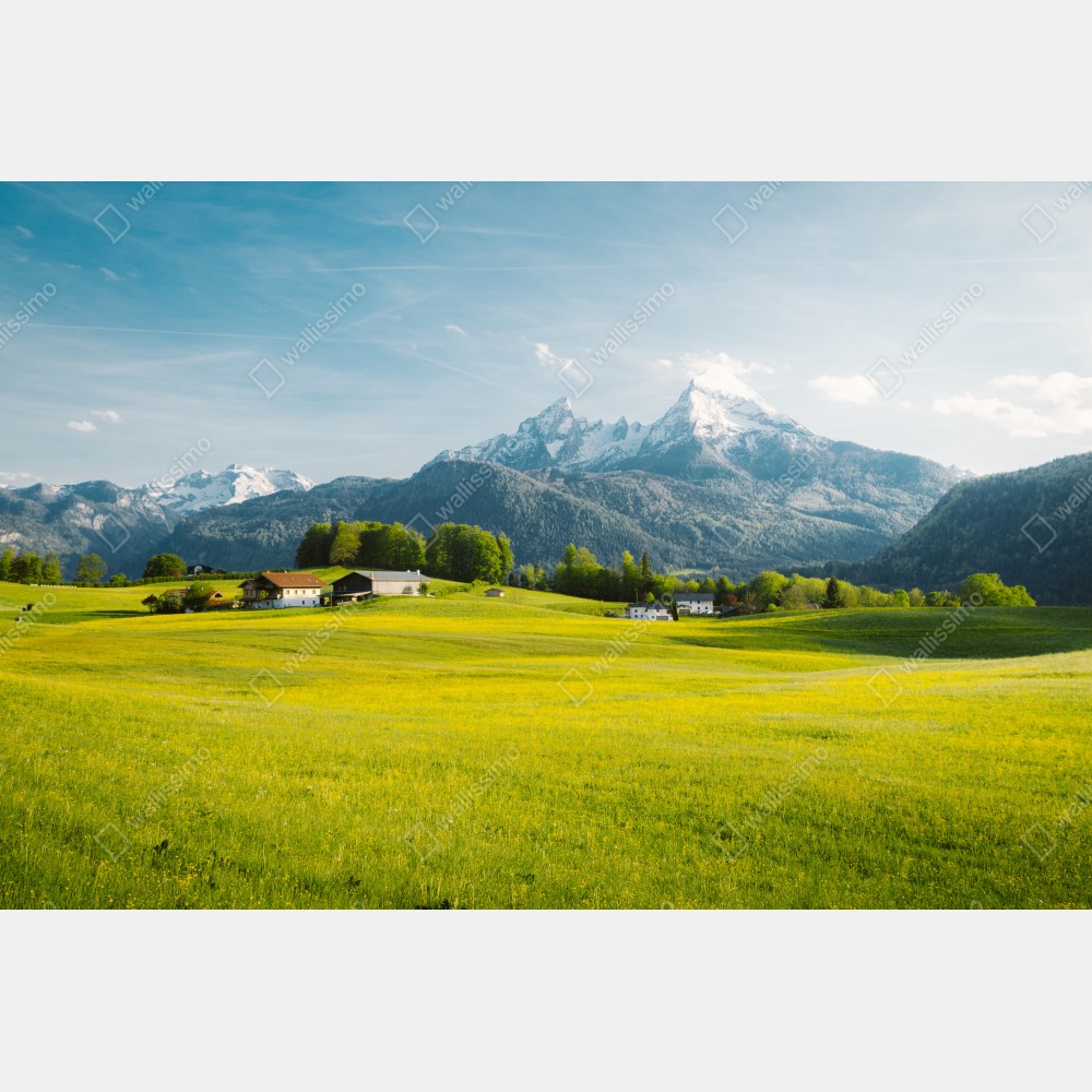 Poster alpwiese unter schneebedeckten gipfeln – Wallnifity® Poster alpwiese unter schneebedeckten gipfeln – Wallnifity®