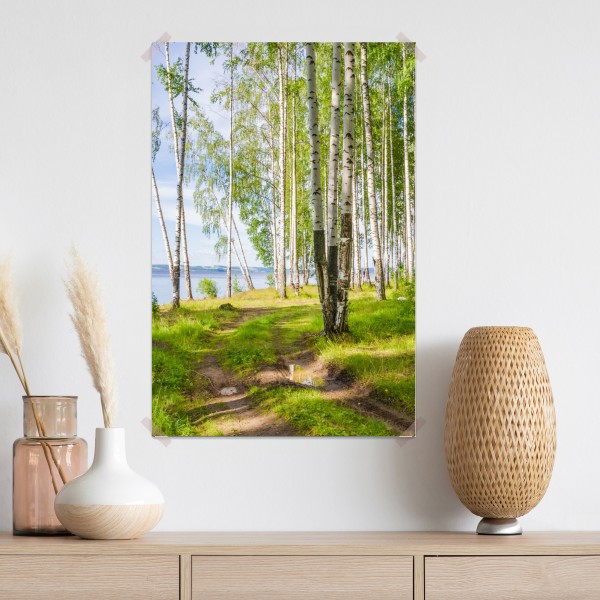 Poster sonnige birkenlichtung am wasser – Wallnifity® Poster sonnige birkenlichtung am wasser – Wallnifity®