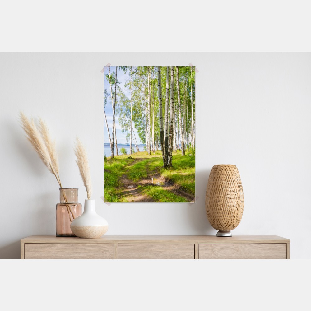 Poster sonnige birkenlichtung am wasser – Wallnifity® Poster sonnige birkenlichtung am wasser – Wallnifity®