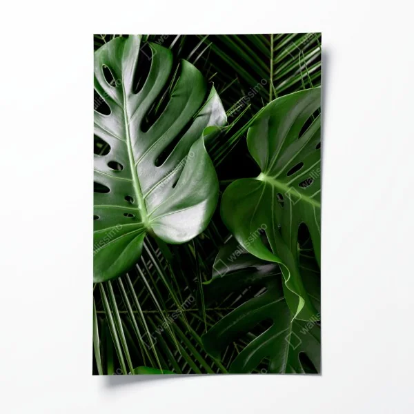 Poster nebliger morgen am Lacu Rosu – Wallnifity®