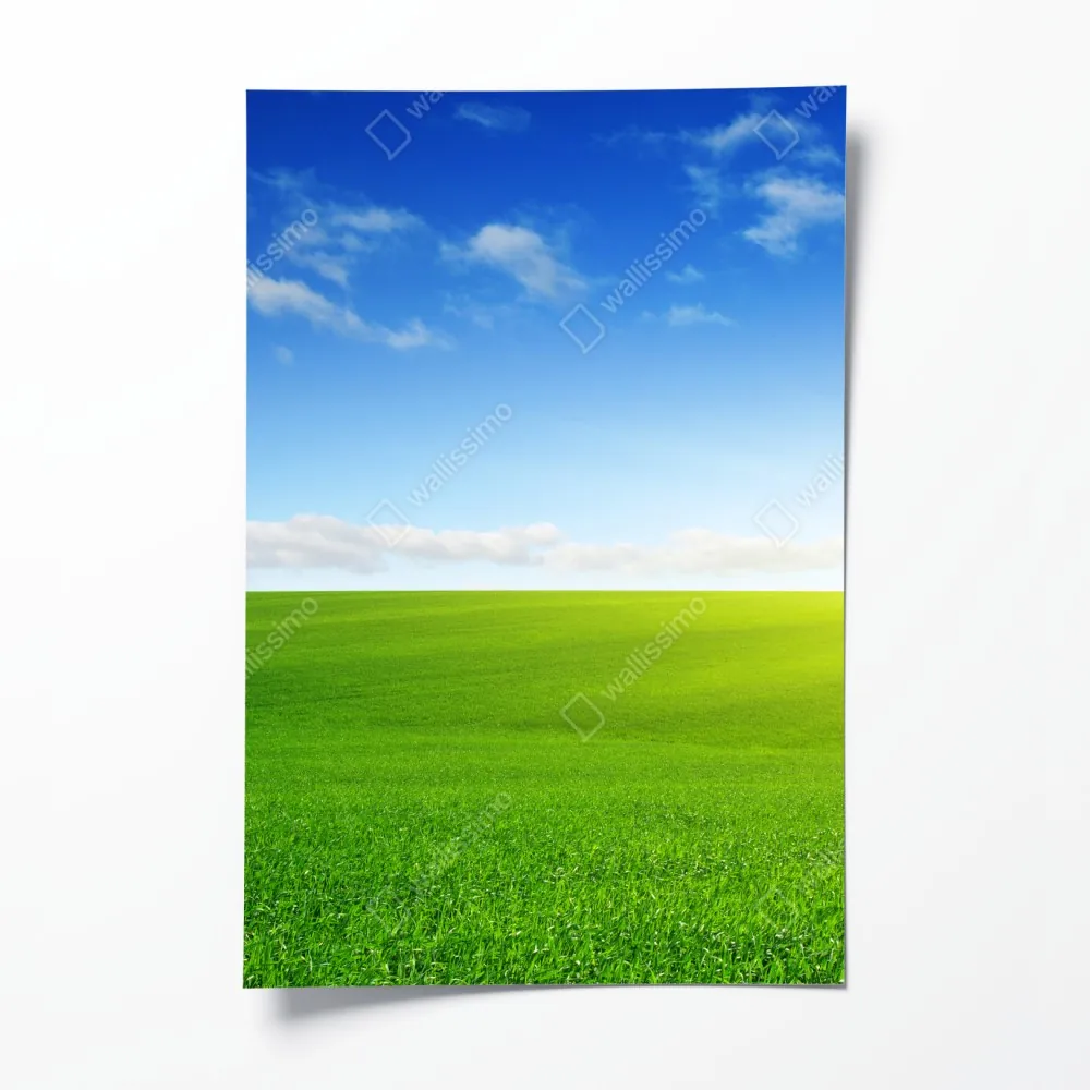 Poster sonnenbeschienene grüne wiese im morgenlicht – Wallnifity® Poster sonnenbeschienene grüne wiese im morgenlicht – Wallnifity®