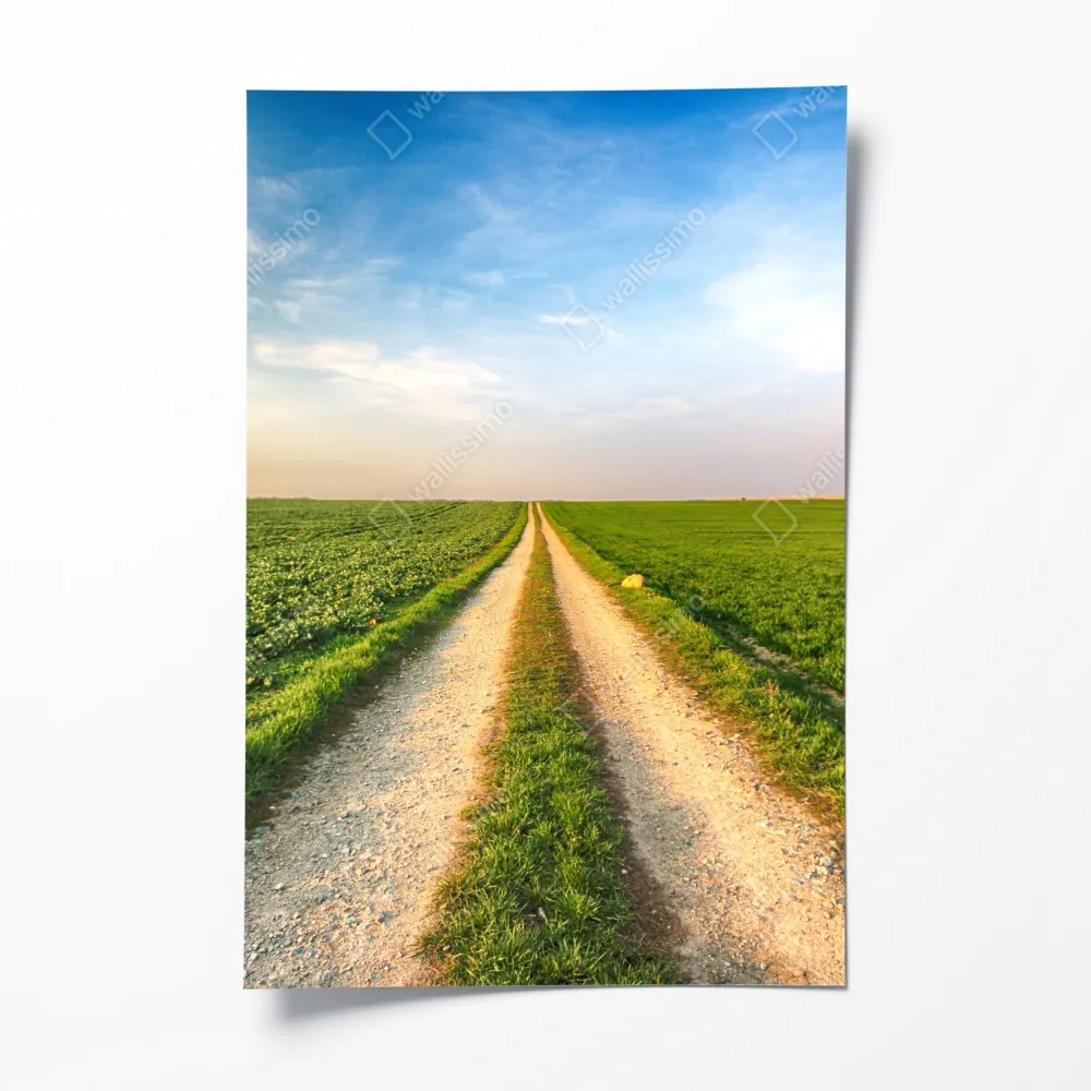 Poster feldweg durch grüne felder – Wallnifity® Poster feldweg durch grüne felder – Wallnifity®