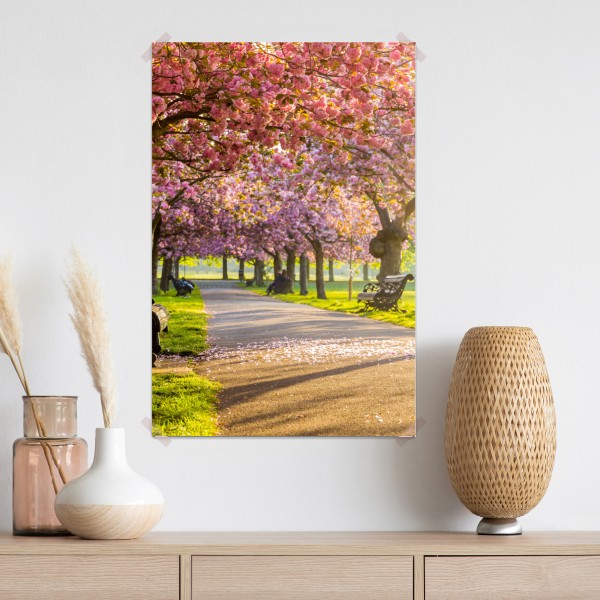 Poster kirschblütenallee im frühling – Wallnifity® Poster kirschblütenallee im frühling – Wallnifity®