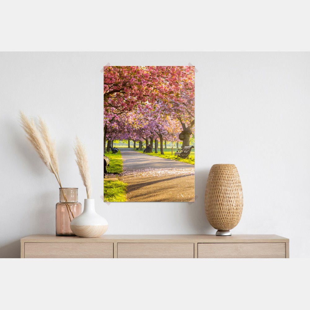 Poster kirschblütenallee im frühling – Wallnifity® Poster kirschblütenallee im frühling – Wallnifity®