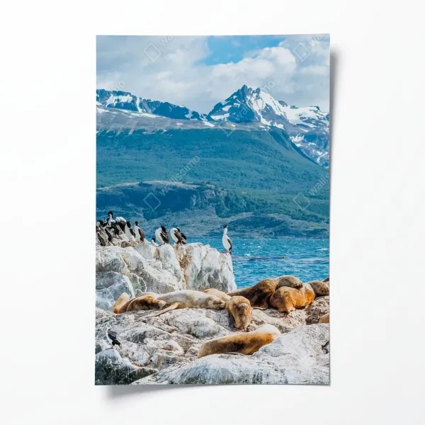 Poster Laguna Verde spiegelung in Atacama – Wallnifity®