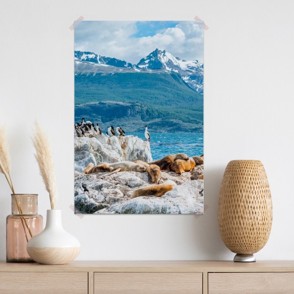 Poster seelöwen und seevögel an der felsküste – Wallnifity® Poster seelöwen und seevögel an der felsküste – Wallnifity®