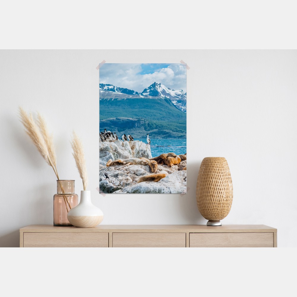 Poster seelöwen und seevögel an der felsküste – Wallnifity® Poster seelöwen und seevögel an der felsküste – Wallnifity®