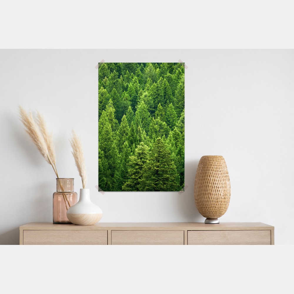 Poster üppige kronen eines kieferwaldes – Wallnifity® Poster üppige kronen eines kieferwaldes – Wallnifity®