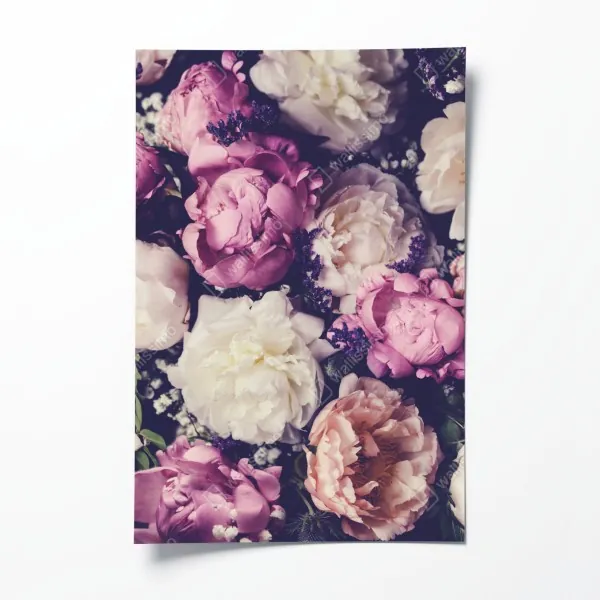 Poster rote rosenblätter hintergrund – Wallnifity®