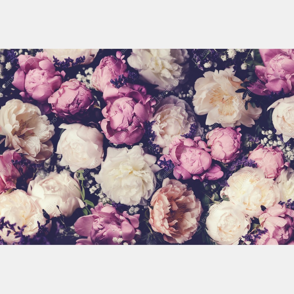 Poster romantischer pfingstrosenstrauß in pastelltönen – Wallnifity® Poster romantischer pfingstrosenstrauß in pastelltönen – Wallnifity®