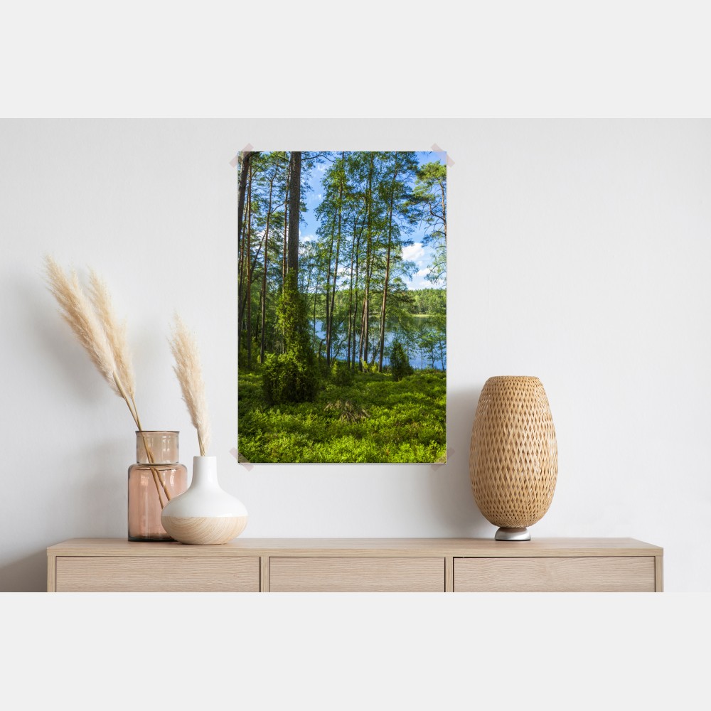 Poster ruhiger kiefernwald am see – Wallnifity® Poster ruhiger kiefernwald am see – Wallnifity®