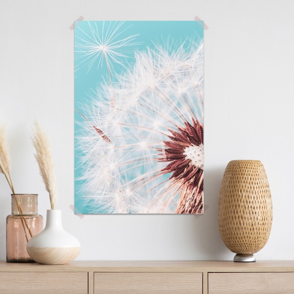 Poster zarter löwenzahn vor türkisfarbenem hintergrund – Wallnifity® Poster zarter löwenzahn vor türkisfarbenem hintergrund – Wallnifity®