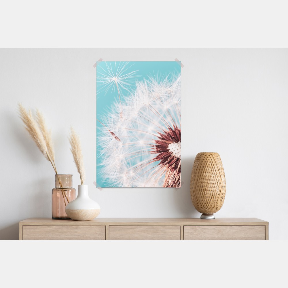 Poster zarter löwenzahn vor türkisfarbenem hintergrund – Wallnifity® Poster zarter löwenzahn vor türkisfarbenem hintergrund – Wallnifity®