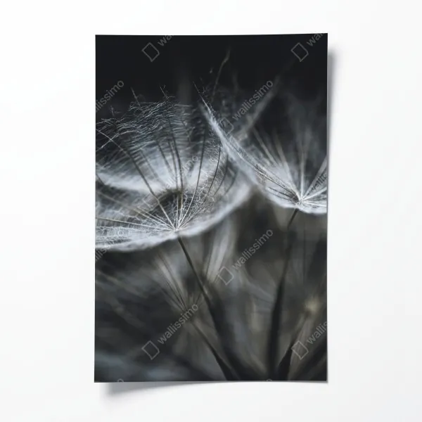 Poster blauer see bei Cervinia – Wallnifity®