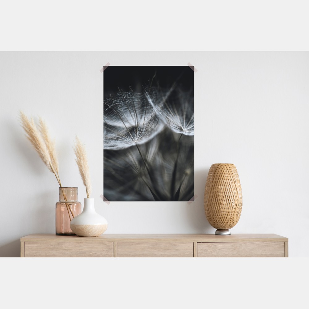 Poster zarte löwenzahnsamen in monochrom – Wallnifity® Poster zarte löwenzahnsamen in monochrom – Wallnifity®