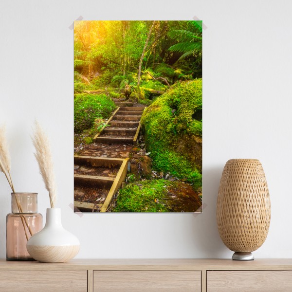 Poster moosiger regenwaldpfad auf der Tasman-Halbinsel – Wallnifity® Poster moosiger regenwaldpfad auf der Tasman-Halbinsel – Wallnifity®