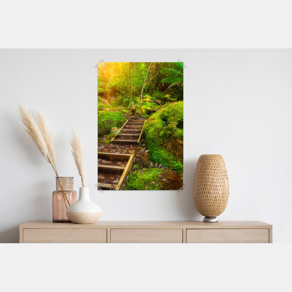 Poster moosiger regenwaldpfad auf der Tasman-Halbinsel – Wallnifity® Poster moosiger regenwaldpfad auf der Tasman-Halbinsel – Wallnifity®