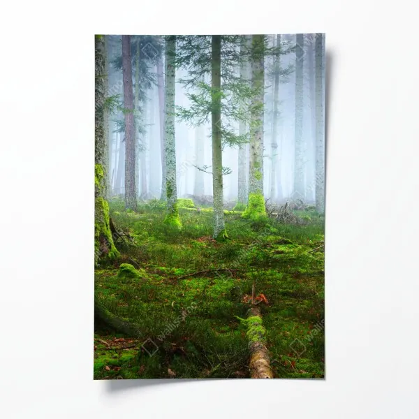 Poster spiraltreppe in monochrom – Wallnifity®