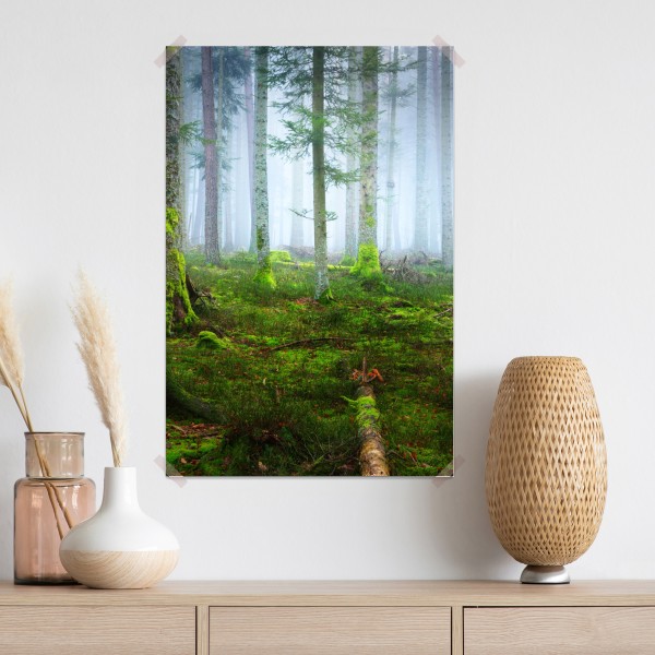 Poster nebliger kiefernwald aus dem Elsass – Wallnifity® Poster nebliger kiefernwald aus dem Elsass – Wallnifity®