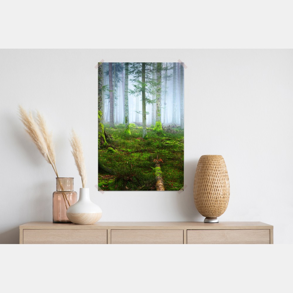 Poster nebliger kiefernwald aus dem Elsass – Wallnifity® Poster nebliger kiefernwald aus dem Elsass – Wallnifity®