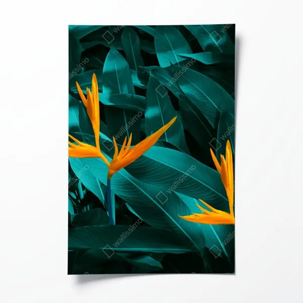 Poster Chicago nächtliche skyline panorama – Wallnifity®