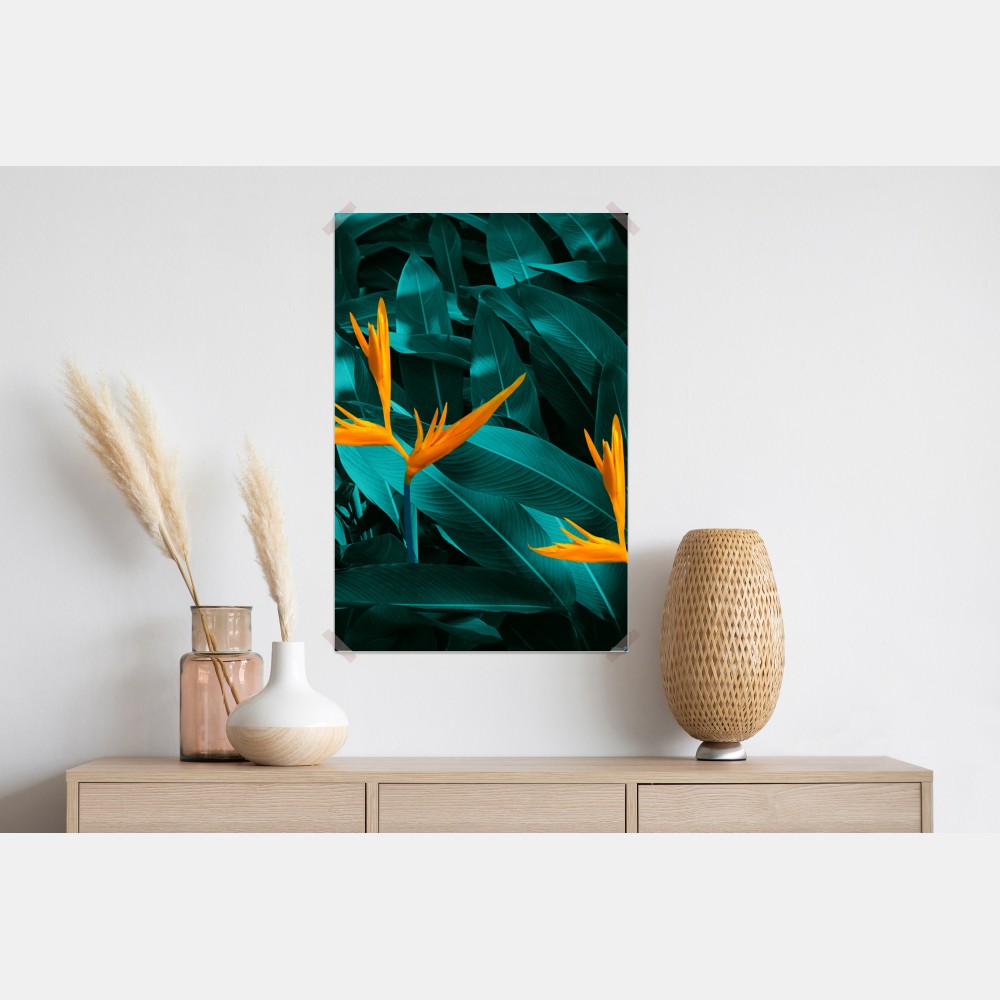 Poster tropische strelitzie auf türkisfarbenen blättern – Wallnifity® Poster tropische strelitzie auf türkisfarbenen blättern – Wallnifity®