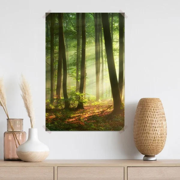 Poster sonnenbeschienener morgenwald – Wallnifity® Poster sonnenbeschienener morgenwald – Wallnifity®