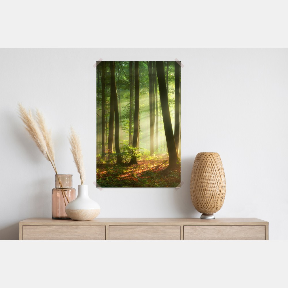 Poster sonnenbeschienener morgenwald – Wallnifity® Poster sonnenbeschienener morgenwald – Wallnifity®